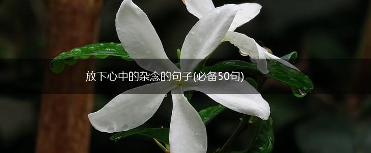 放下心中的杂念的句子(必备50句),第1张