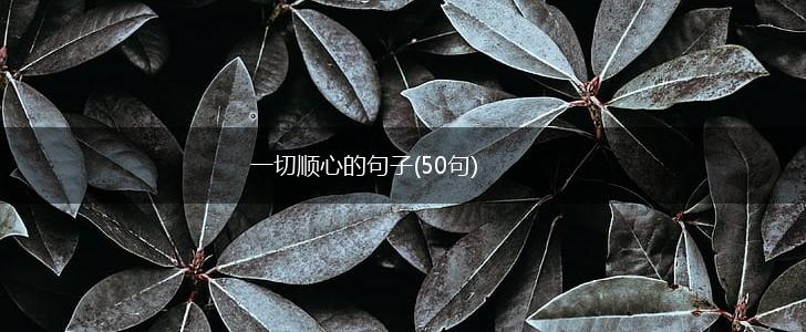 一切顺心的句子(50句),第1张