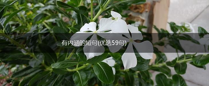 有内涵的短句(优选59句),第1张