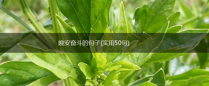晚安奋斗的句子(实用50句),第1张