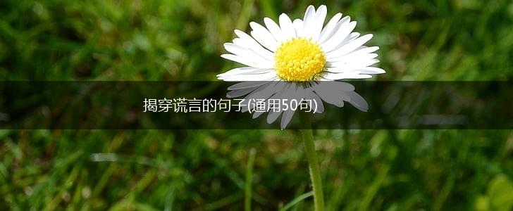 揭穿谎言的句子(通用50句),第1张 揭穿谎言的句子(通用50句),第1张