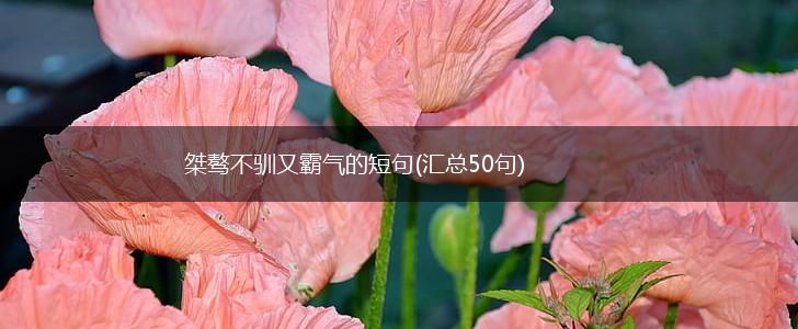 桀骜不驯又霸气的短句(汇总50句),第1张