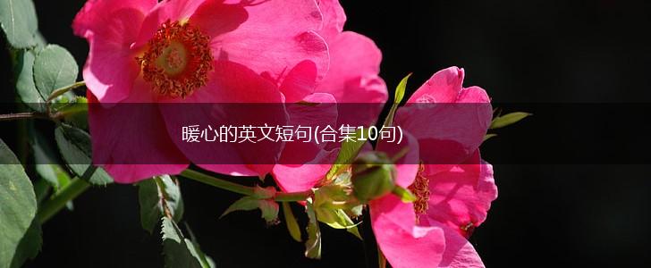 暖心的英文短句(合集10句),第1张
