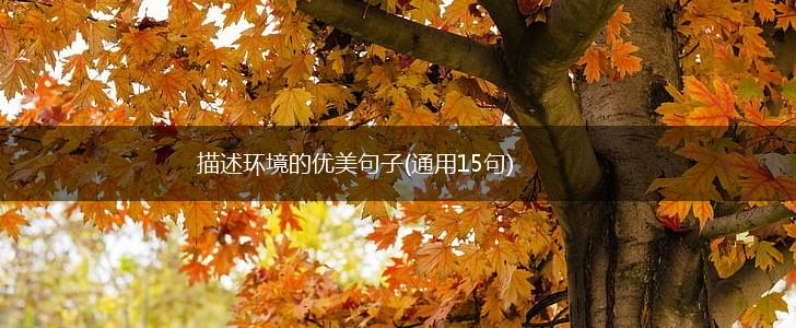 描述环境的优美句子(通用15句),第1张