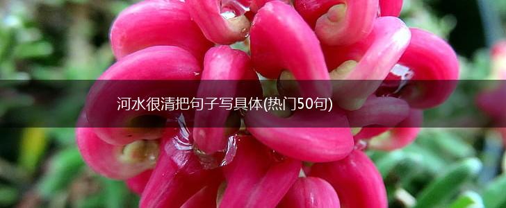 河水很清把句子写具体(热门50句),第1张