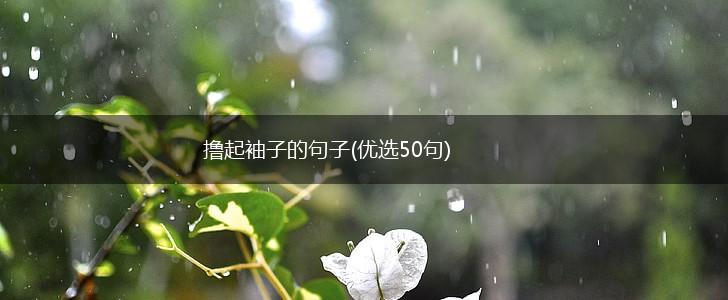 撸起袖子的句子(优选50句),第1张