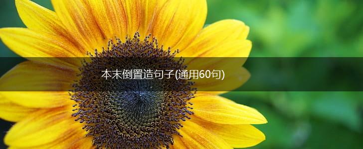本末倒置造句子(通用60句),第1张
