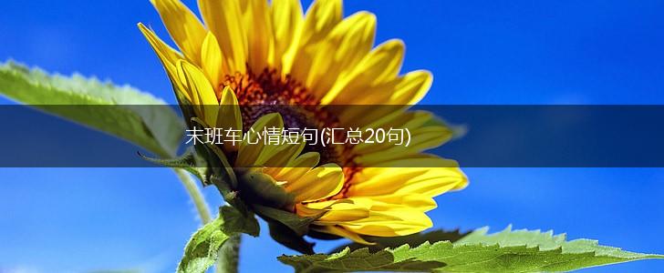 末班车心情短句(汇总20句),第1张