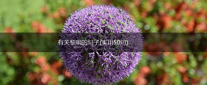 有关黎明的句子(实用50句),第1张