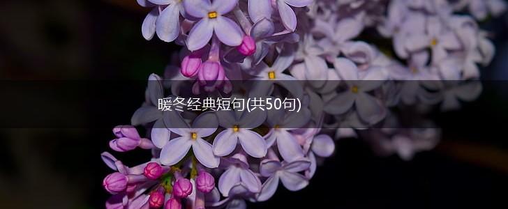 暖冬经典短句(共50句),第1张