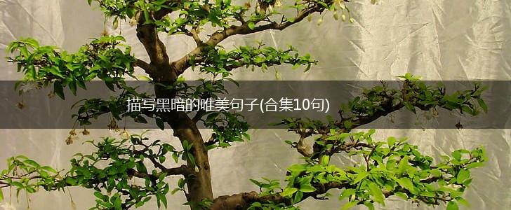 描写黑暗的唯美句子(合集10句),第1张