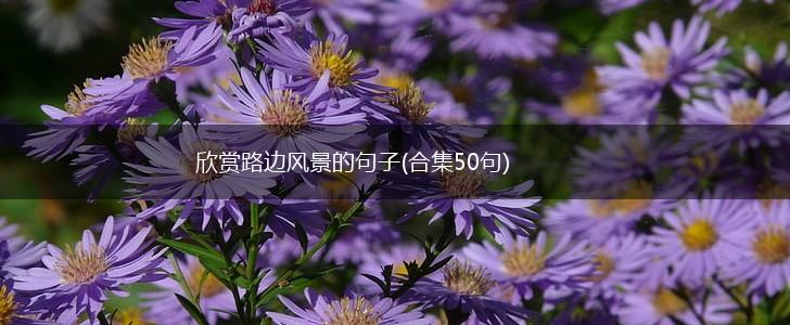 欣赏路边风景的句子(合集50句),第1张