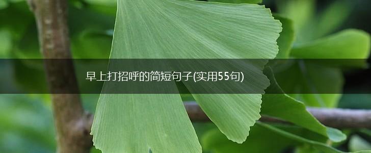 早上打招呼的简短句子(实用55句),第1张