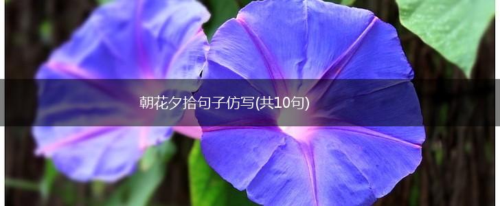 朝花夕拾句子仿写(共10句),第1张