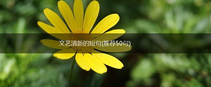 文艺清新的短句(推荐50句),第1张