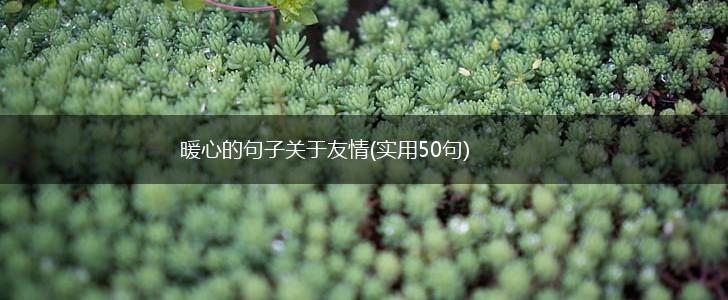 暖心的句子关于友情(实用50句),第1张