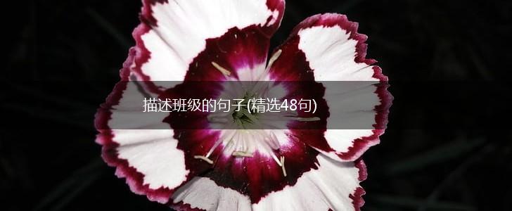 描述班级的句子(精选48句),第1张 描述班级的句子(精选48句),第1张