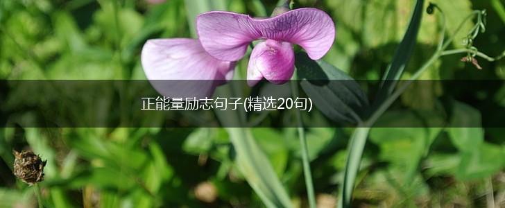 正能量励志句子(精选20句),第1张