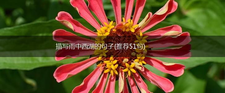 描写雨中西湖的句子(推荐51句),第1张