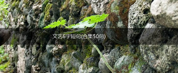 文艺6字短句(合集50句),第1张