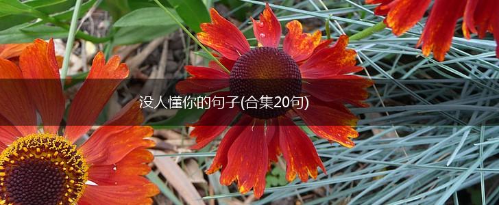 没人懂你的句子(合集20句),第1张