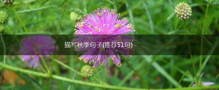描写秋季句子(推荐51句),第1张