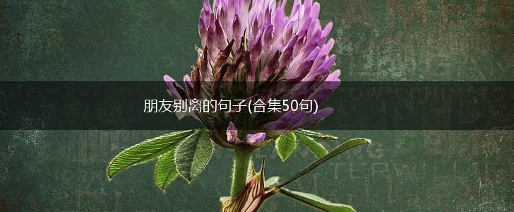 朋友别离的句子(合集50句),第1张