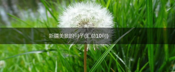新疆美景的句子(汇总10句),第1张