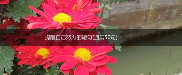 提醒自己努力的短句(通用50句),第1张