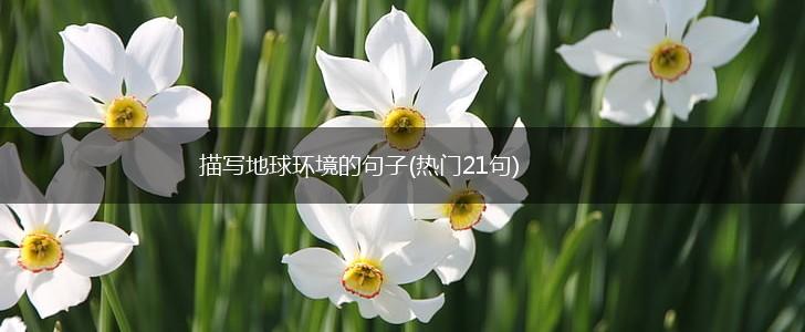 描写地球环境的句子(热门21句),第1张