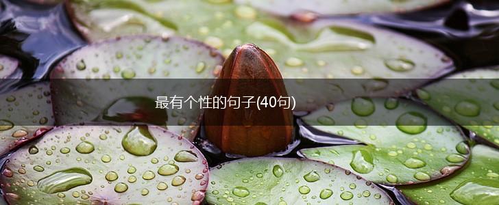 最有个性的句子(40句),第1张