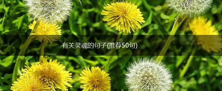 有关灵魂的句子(推荐50句),第1张