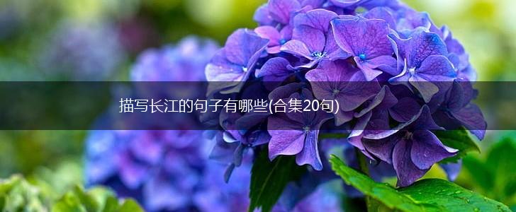 描写长江的句子有哪些(合集20句),第1张