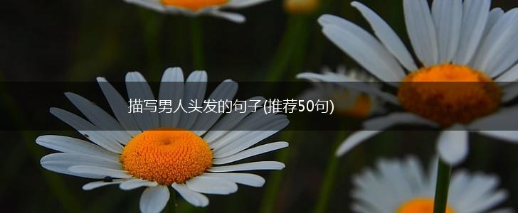 描写男人头发的句子(推荐50句),第1张