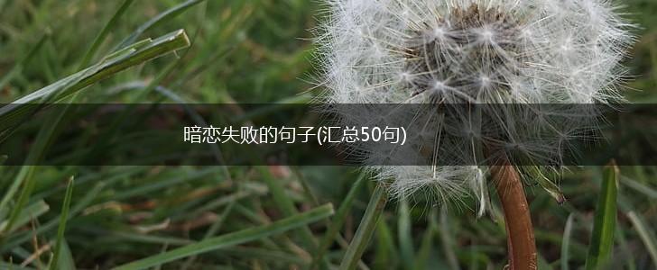 暗恋失败的句子(汇总50句),第1张