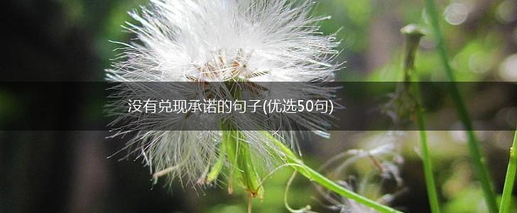 没有兑现承诺的句子(优选50句),第1张