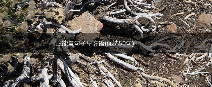 正能量句子早安语(优选50句),第1张