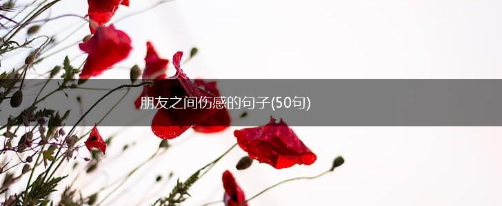 朋友之间伤感的句子(50句),第1张