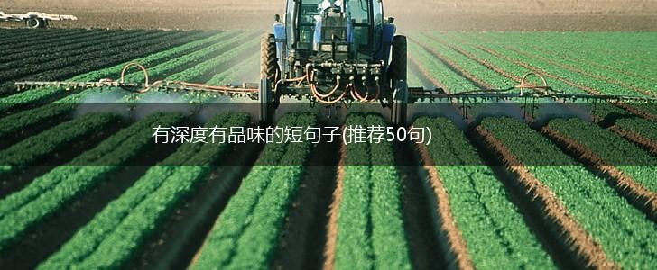 有深度有品味的短句子(推荐50句),第1张