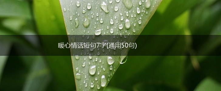 暖心情话短句7字(通用50句),第1张