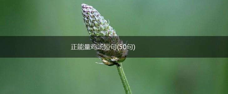 正能量鸡汤短句(50句),第1张