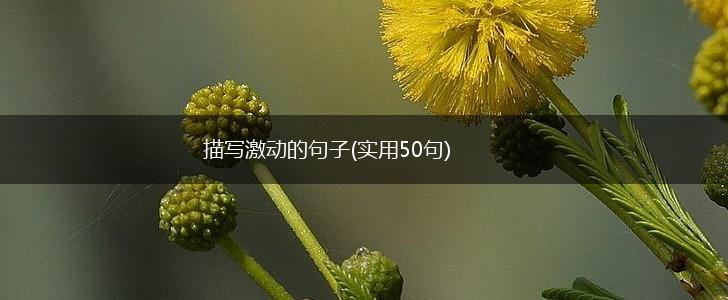 描写激动的句子(实用50句),第1张