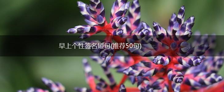 早上个性签名短句(推荐50句),第1张