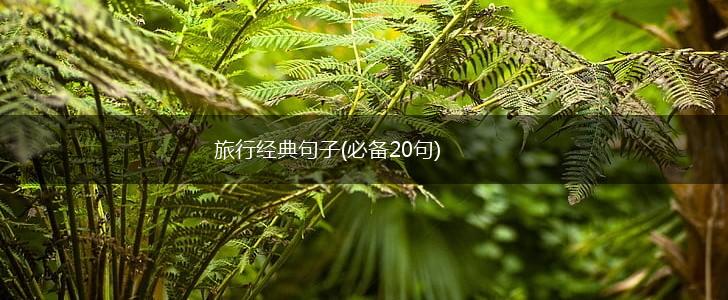 旅行经典句子(必备20句),第1张