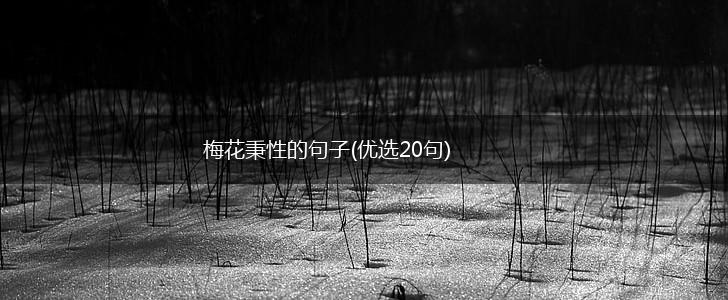 梅花秉性的句子(优选20句),第1张