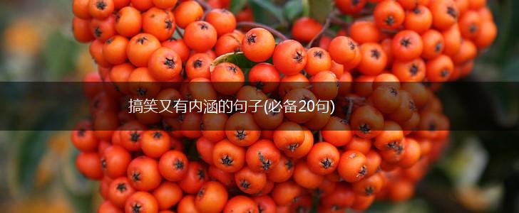搞笑又有内涵的句子(必备20句),第1张