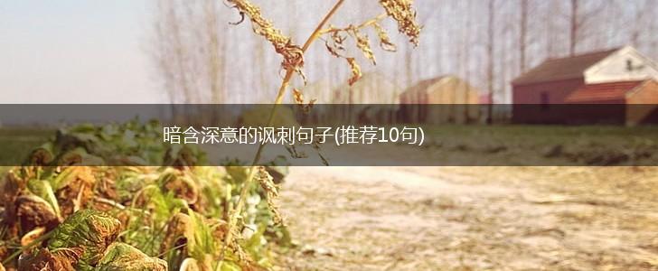 暗含深意的讽刺句子(推荐10句),第1张