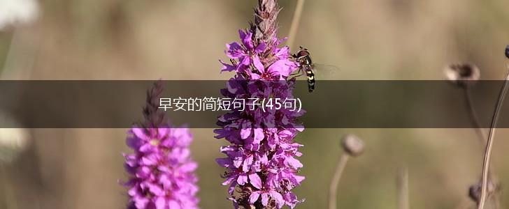 早安的简短句子(45句),第1张