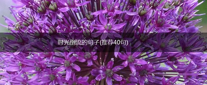时光倒流的句子(推荐40句),第1张
