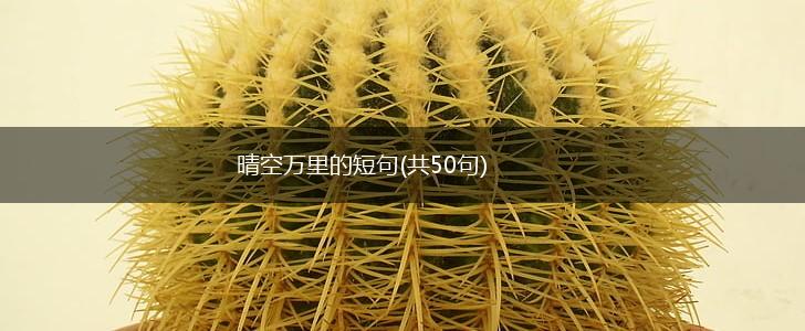晴空万里的短句(共50句),第1张